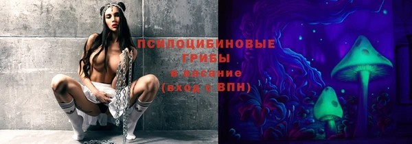 прущие крисы Нефтекумск