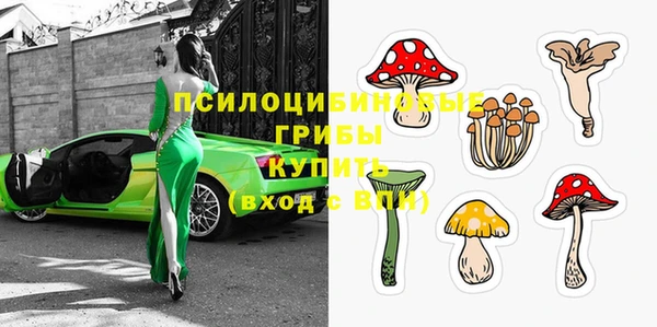 прущие крисы Нефтекумск